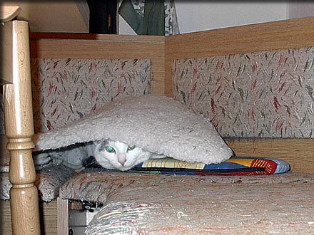 Bild 14