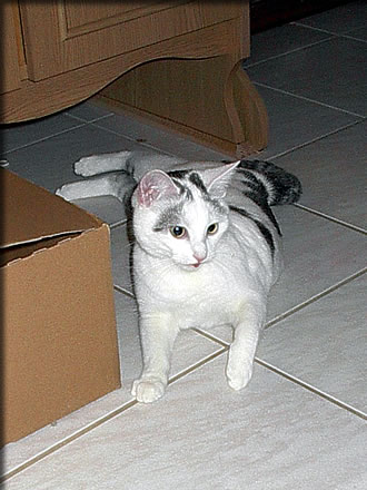 Bild 6